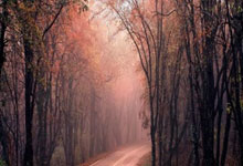 新疆“90后”服装设计师:让更多人领略到艾德莱斯绸的魅力.