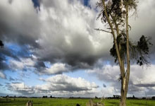 球友会:尼科-威廉姆斯:西班牙国家队的氛围很好,我们有雄心赢得世界杯.