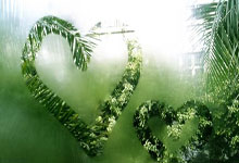 球友会:尼科-威廉姆斯:西班牙国家队的氛围很好,我们有雄心赢得世界杯.